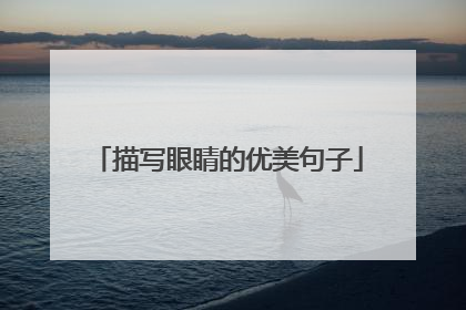 描写眼睛的优美句子