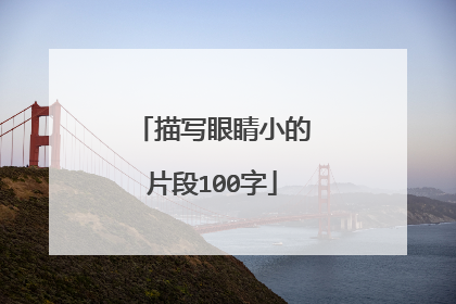 描写眼睛小的片段100字