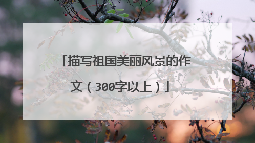 描写祖国美丽风景的作文（300字以上）