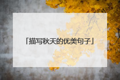 描写秋天的优美句子