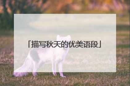 描写秋天的优美语段