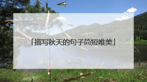 描写秋天的句子简短唯美