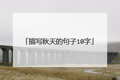 描写秋天的句子10字