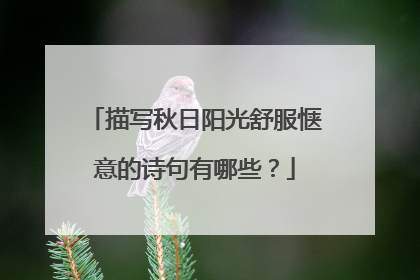 描写秋日阳光舒服惬意的诗句有哪些？