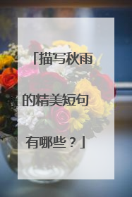 描写秋雨的精美短句有哪些？