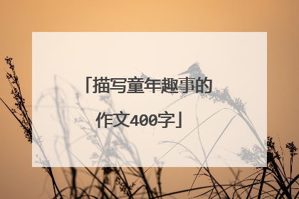 描写童年趣事的作文400字