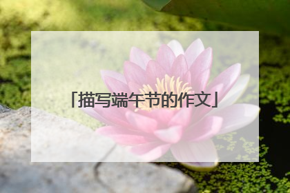 描写端午节的作文