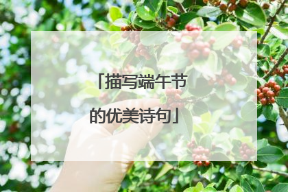 描写端午节的优美诗句