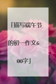 描写端午节的初一作文600字