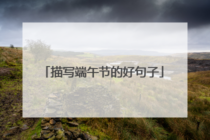 描写端午节的好句子