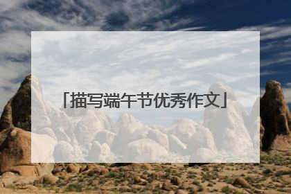 描写端午节优秀作文