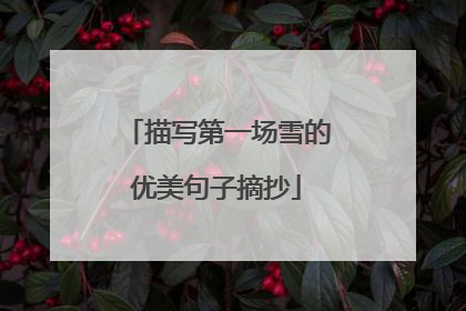描写第一场雪的优美句子摘抄