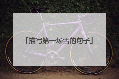 描写第一场雪的句子