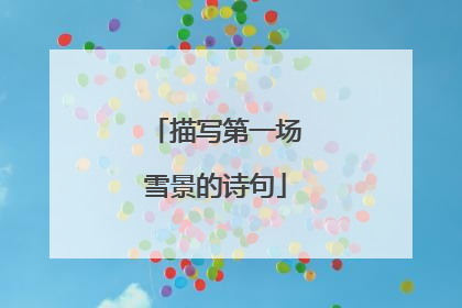 描写第一场雪景的诗句