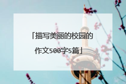 描写美丽的校园的作文500字5篇