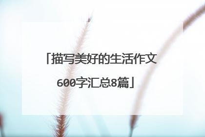 描写美好的生活作文600字汇总8篇