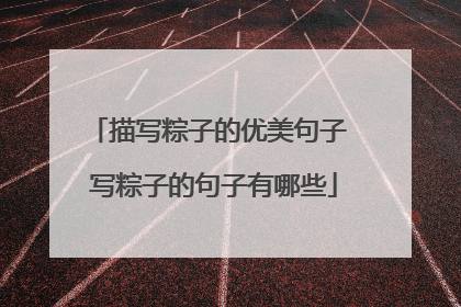 描写粽子的优美句子 写粽子的句子有哪些