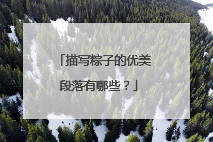 描写粽子的优美段落有哪些?