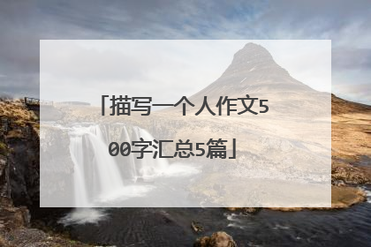 描写一个人作文500字汇总5篇