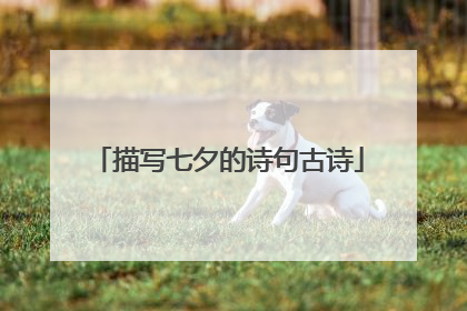 描写七夕的诗句古诗