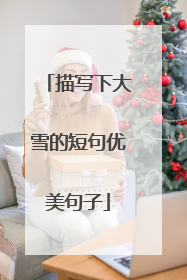 描写下大雪的短句优美句子