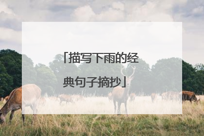 描写下雨的经典句子摘抄