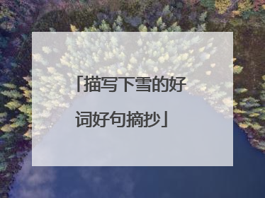 描写下雪的好词好句摘抄