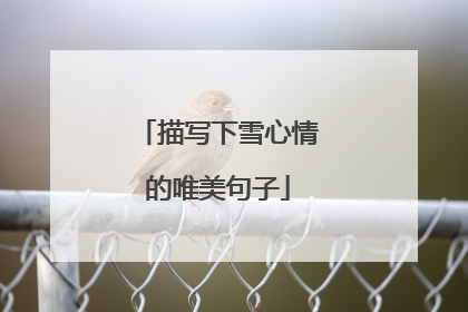 描写下雪心情的唯美句子