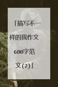 描写不一样的我作文600字范文(2)