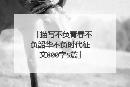 描写不负青春不负韶华不负时代征文800字5篇