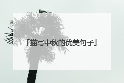 描写中秋的优美句子