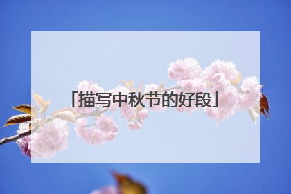 描写中秋节的好段
