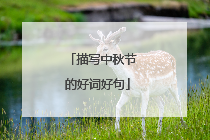 描写中秋节的好词好句