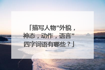 描写人物”外貌,神态,动作,语言”四字词语有哪些?