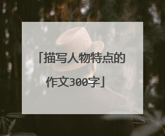 描写人物特点的作文300字