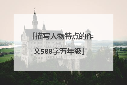 描写人物特点的作文500字五年级