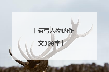 描写人物的作文300字