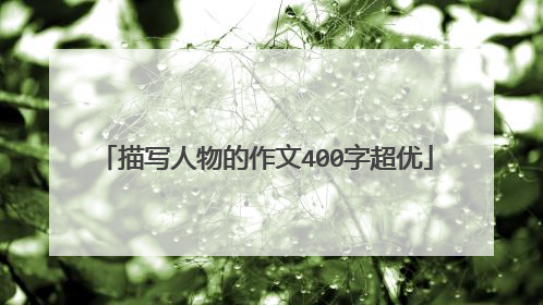 描写人物的作文400字超优