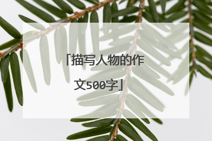 描写人物的作文500字