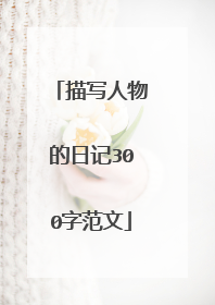 描写人物的日记300字范文