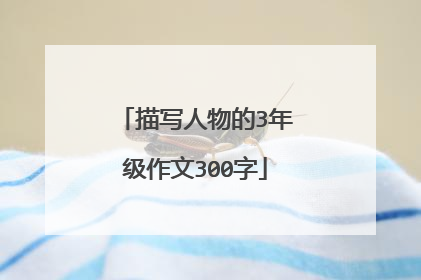 描写人物的3年级作文300字