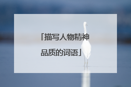 描写人物精神品质的词语