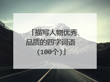 描写人物优秀品质的四字词语(100个)