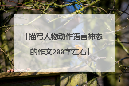 描写人物动作语言神态的作文200字左右