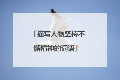 描写人物坚持不懈精神的词语