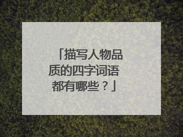 描写人物品质的四字词语都有哪些？