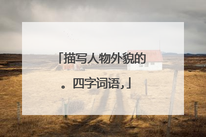 描写人物外貌的。四字词语,