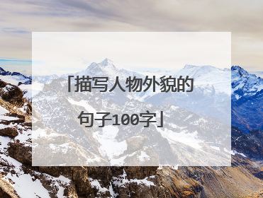 描写人物外貌的句子100字