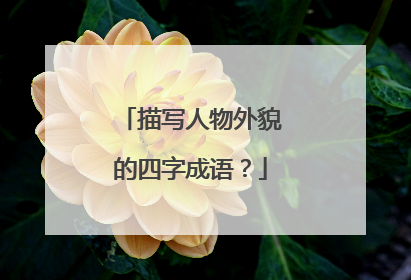 描写人物外貌的四字成语?
