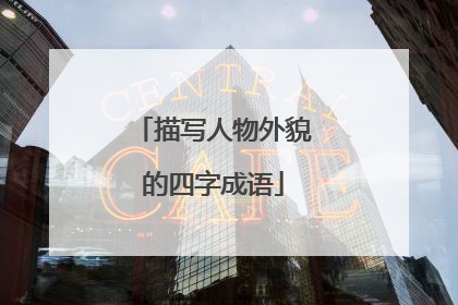 描写人物外貌的四字成语